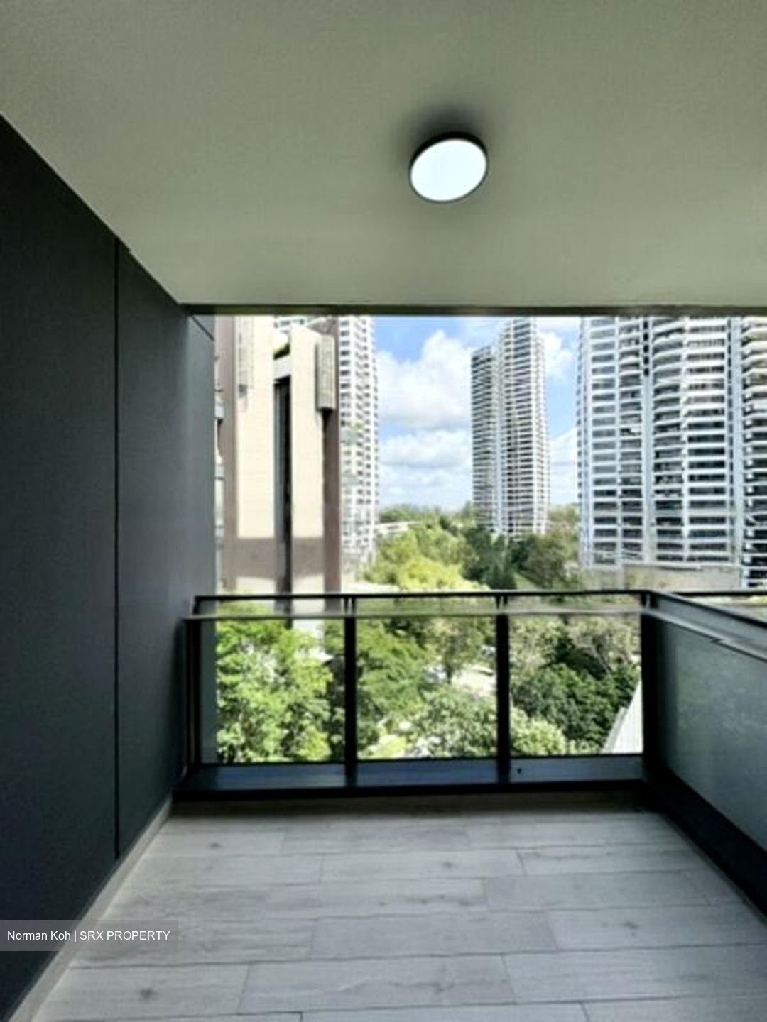 Leedon Green (D10), Condominium #470466421